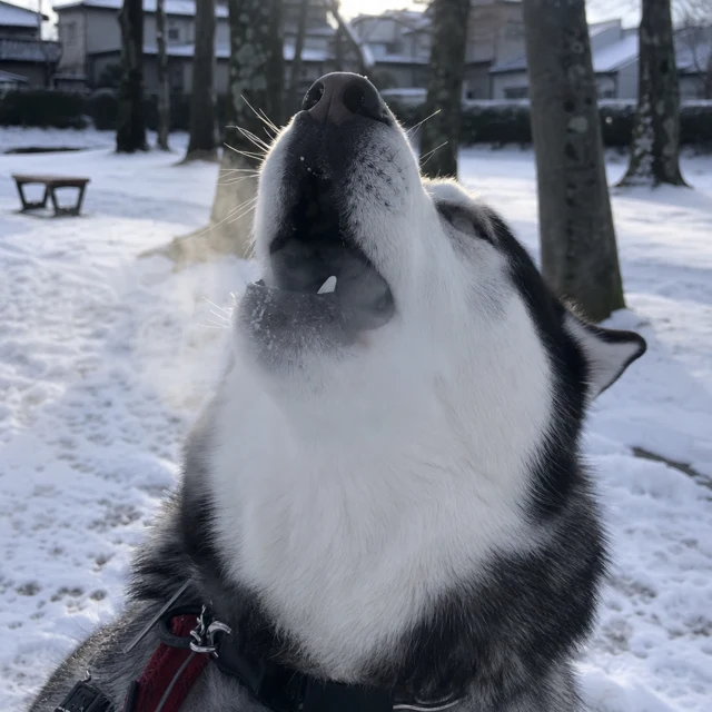 なぎ