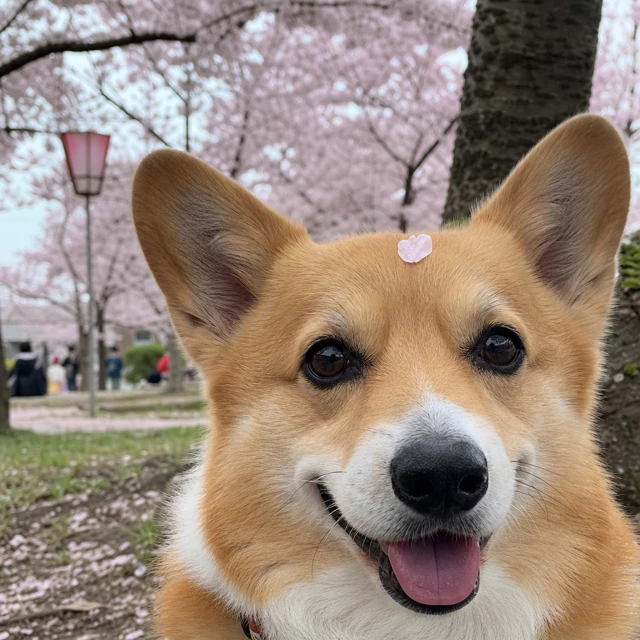 そら