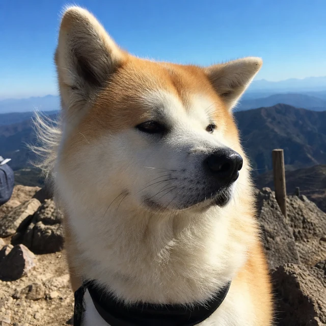 たろう